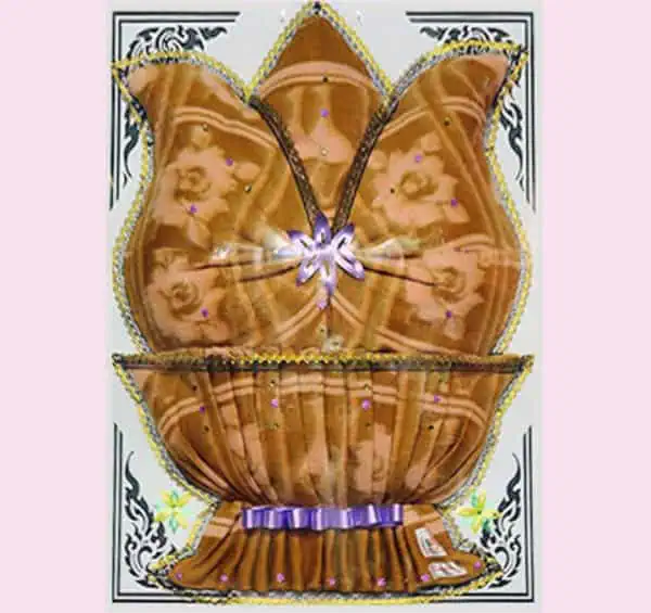 pp8-2