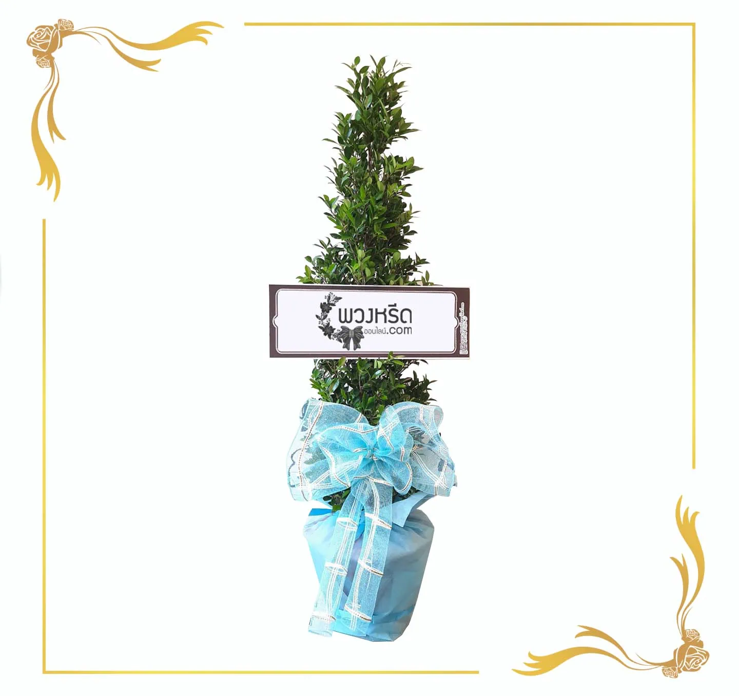 พวงหรีดต้นไม้-framed-1